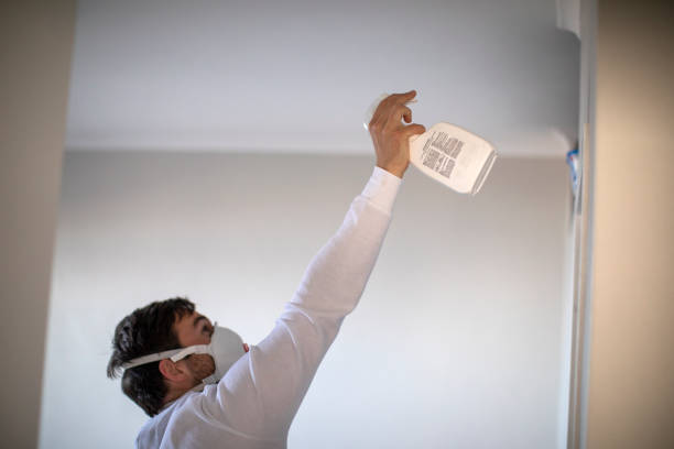 Best Mold Damage Repair  in Marble Falls, TX