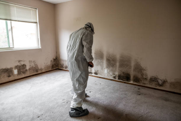 Crawl Space Mold Removal in Marble Falls, TX